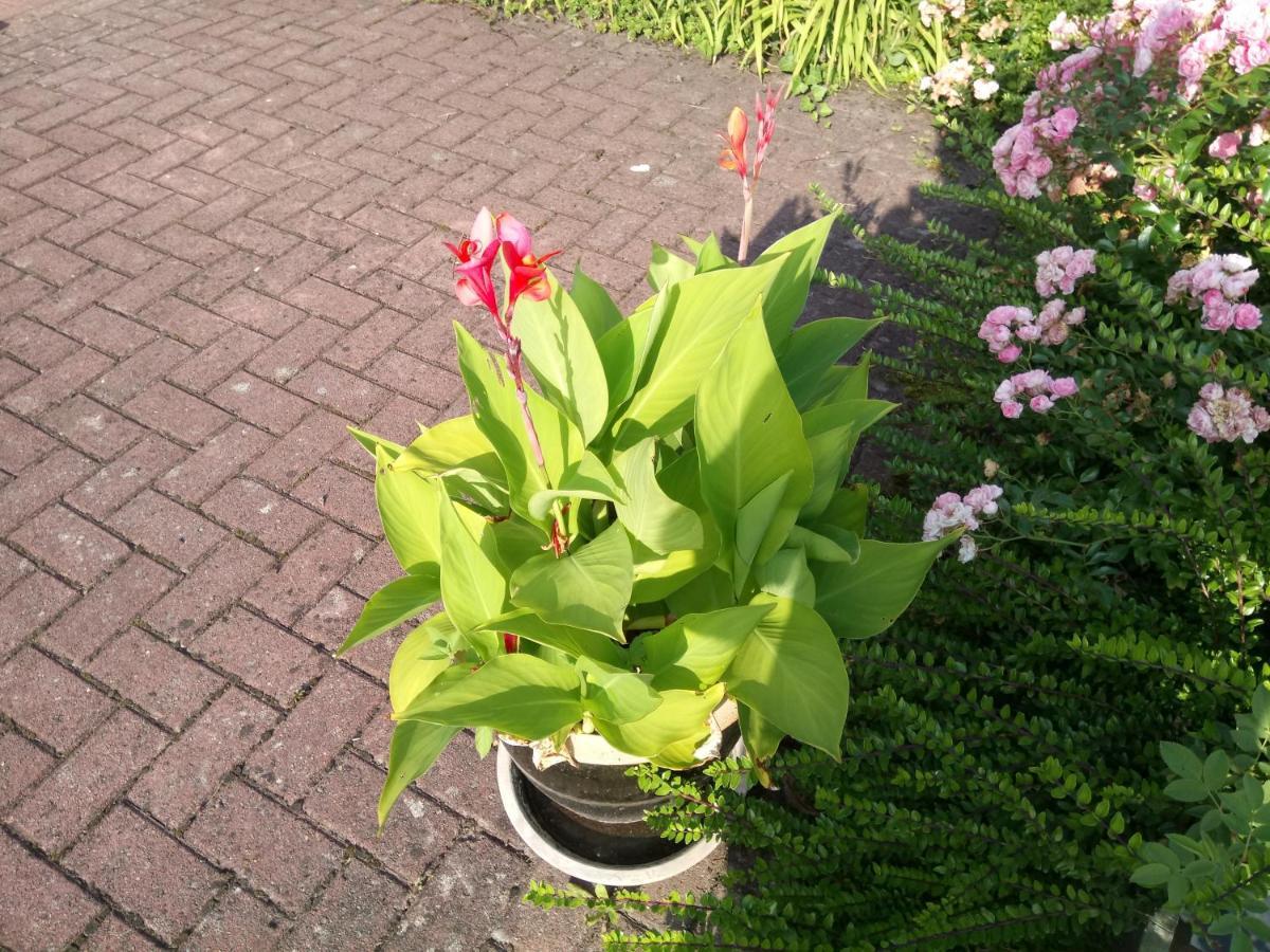 Wenneglueck Villa Meschede Exteriör bild